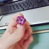 https://images.plurk.com/4qSVpRBBRQkQZv0rVwrwQ6.jpg