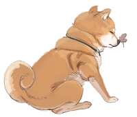 https://images.plurk.com/4qSyb9gyKyWO4p3yqJhc8X.png