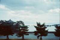 https://images.plurk.com/4qU9slJ5OgW4iW2t3A9mOI.jpg