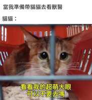 https://images.plurk.com/4qUOhm6obXbJjtGXo3ZvAt.jpg