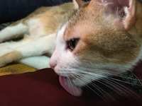https://images.plurk.com/4qbUChRlzAs74AhDEtvNxb.jpg