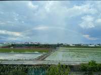 https://images.plurk.com/4qgza421jctlrwK049LKeq.jpg