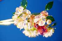 https://images.plurk.com/4quTr5blUl7f6N1OR5QdbQ.jpg