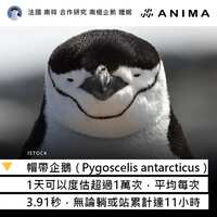 https://images.plurk.com/4qv6ZmwFfSDTnqvgmxHzqK.jpg