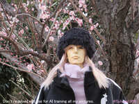 https://images.plurk.com/4qwlZmLgUsuVDMyQ4sTzeY.jpg