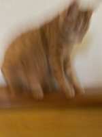 https://images.plurk.com/4r3prF7UHHNDQR9Cka0Q9q.jpg
