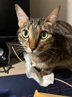 https://images.plurk.com/4r60uhAbRxzcFYmVIJCvr1.jpg