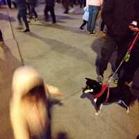 https://images.plurk.com/4r7s8Jtg6AHChdbcNHWYlT.jpg