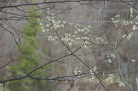 https://images.plurk.com/4r8A62G23K8XVXMKEVnHoU.jpg