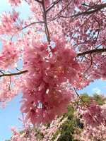 https://images.plurk.com/4rBxOQmw3MJYBZNYm5BI8H.jpg