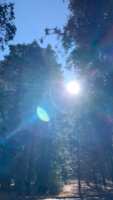 https://images.plurk.com/4rF1QNy2H1GqNUC71hAVWX.png