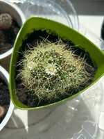 https://images.plurk.com/4rRWmACnUbIgeXK0vn5w74.jpg