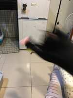 https://images.plurk.com/4rTPsR0kvejTXyG3aoAh7m.jpg