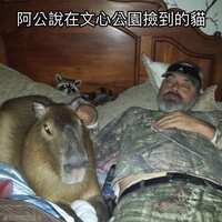 https://images.plurk.com/4rX6kJzvG91WQYh8lqc3p4.jpg