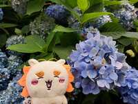 https://images.plurk.com/4rZXk9gWIvSawJUOMx3lWX.jpg