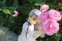 https://images.plurk.com/4rfGMtNQFa0WtPBIJ4C1hu.jpg