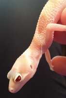https://images.plurk.com/4rmEIcxTnHRg7cOB3ZbIuj.jpg