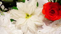 https://images.plurk.com/4rnzdauLII3NuGC4trhLit.jpg