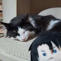 https://images.plurk.com/4rpfSoHe6I4jitx0picQN7.jpg