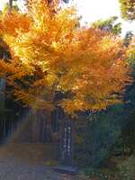 https://images.plurk.com/4rxG8yqbmsef2FLtFXfbvV.jpg