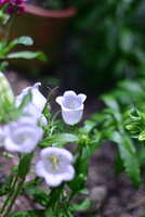 https://images.plurk.com/4rxOdVWu4M4EJ3RAMpk984.jpg