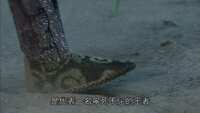 https://images.plurk.com/4rycI49MKPmO3nEbWheHBk.jpg
