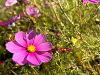 https://images.plurk.com/4s0XNkGGulVPc8wPNeFxT9.jpg