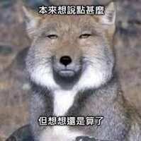 https://images.plurk.com/4s2rbkJkut4CrrNOnLkcuD.jpg