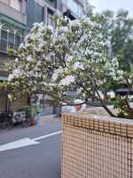 https://images.plurk.com/4s8lKGI0do5QXw8SQeyJV0.png