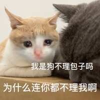 https://images.plurk.com/4s9Ece0R8UQP3BywqHyBdX.jpg