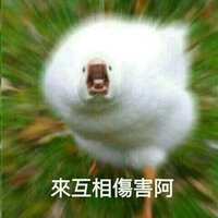 https://images.plurk.com/4sVvegLlTnDBpX8D62rRUF.jpg