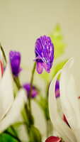 https://images.plurk.com/4sYhriN14frXC332sT5g1u.jpg
