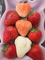 https://images.plurk.com/4scDacCifXIngZFqUneptJ.jpg