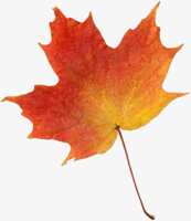 https://images.plurk.com/4sgfrfo8HJX7MmfvgWHxXh.png