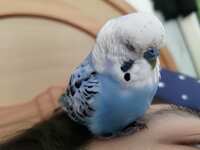 https://images.plurk.com/4soQCCSbuHDh78q3hLYBCI.jpg