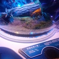 https://images.plurk.com/4svOifh7R3aumCK8A1yD.jpg