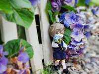 https://images.plurk.com/4svnnJ3TPNpW7QmoJThSQ0.jpg