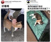 https://images.plurk.com/4szyaPKnNUNbGrsYVYfqkk.jpg