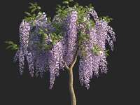 https://images.plurk.com/4t1f9MftvsRFa99ufHDYis.png