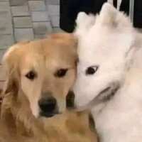 https://images.plurk.com/4tBPAXQmegatrIwY9M3hh0.jpg