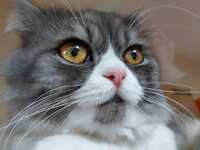 https://images.plurk.com/4tGCs8zh6Pm924Gh4XKgTW.jpg