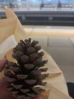 https://images.plurk.com/4tKNsYkRcQDF2nBE7TvKc6.jpg
