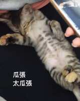 https://images.plurk.com/4tLKZts5i79egxHCepLq3Q.png