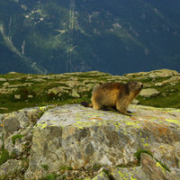 https://images.plurk.com/4tNVzOjp6qaLYMdnitzM.jpg