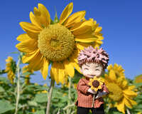 https://images.plurk.com/4tP6SRxcFtuqzlQnCwEm5f.jpg