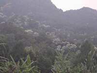 https://images.plurk.com/4tUdr3wfK4K3SRVTTPSH0C.jpg