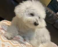 https://images.plurk.com/4tee0UBTzS8nbMgTSLdv6w.jpg