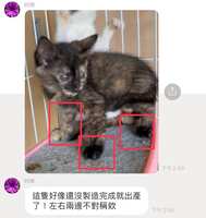 https://images.plurk.com/4thFT1fWadM5E1Cw3crr0K.jpg