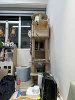 https://images.plurk.com/4tjLMv4Ppmk6bCZU5gTn03.jpg