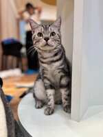 https://images.plurk.com/4touA9dwp9oSooCLenSxGR.jpg